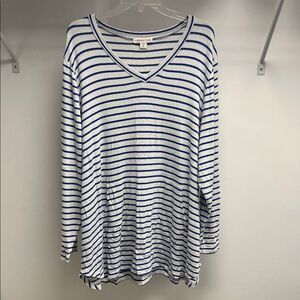 Coldwater Creek Navy and White Striped V-Neck Sweater